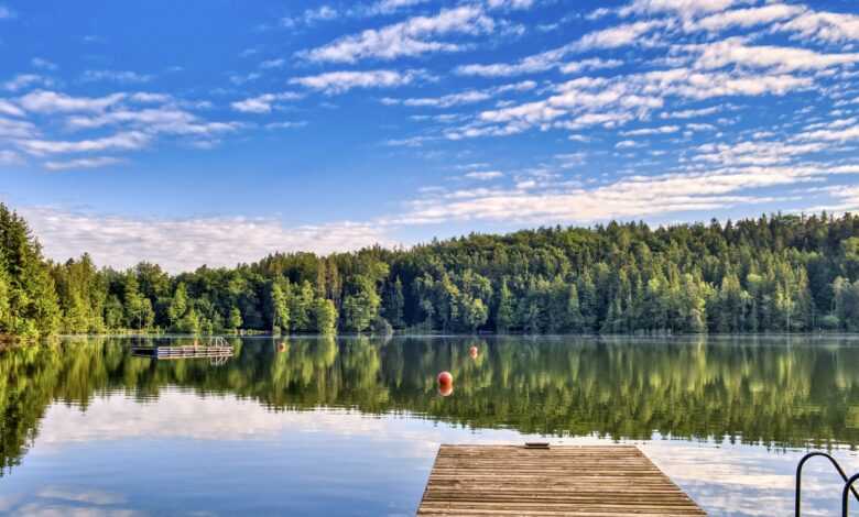 bathing lake, outdoor pool, forest, bathing place, nature, green, leisure pool, alternatively, to bathe, swim, vacations, recreation, leisure time, relax, alternative