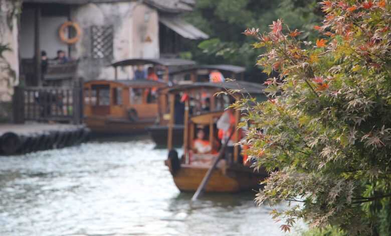 tree, leaves, boat, black awning boat, wupeng boat, river, nature, wuzhen, zhejiang, china