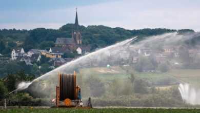 irrigation, church, nature