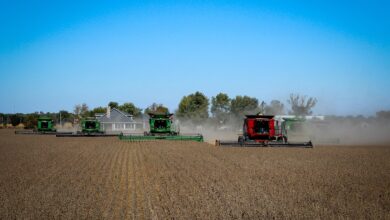 harvest, combines, soybeans, agriculture, grain, field, tractor, rural, harvester, harvesting, farm, food, nutrition, autumn, agronomy, soybeans, tractor, agronomy, agronomy, agronomy, agronomy, agronomy