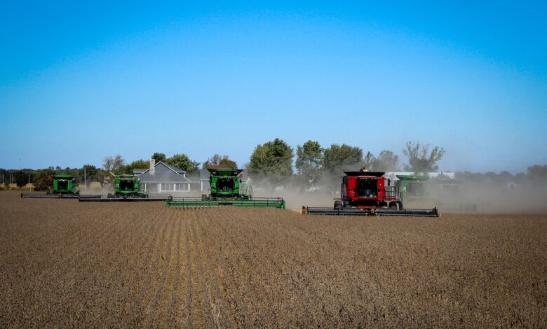 harvest, combines, soybeans, agriculture, grain, field, tractor, rural, harvester, harvesting, farm, food, nutrition, autumn, agronomy, soybeans, tractor, agronomy, agronomy, agronomy, agronomy, agronomy