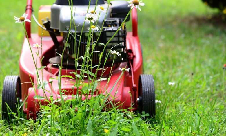 lawn mower, mow, gardening