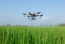 dji, drone, plant protection drone, farmland, agriculture, wisdom agricultural, smart agriculture, fly prevention, plant protection machine, agricultural drones, aircraft to fight drugs, the plant protection team, the drones sow, fruit trees plant protection, the uav system anti-rule, smart agriculture, smart agriculture, smart agriculture, smart agriculture, smart agriculture