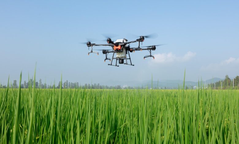 dji, drone, plant protection drone, farmland, agriculture, wisdom agricultural, smart agriculture, fly prevention, plant protection machine, agricultural drones, aircraft to fight drugs, the plant protection team, the drones sow, fruit trees plant protection, the uav system anti-rule, smart agriculture, smart agriculture, smart agriculture, smart agriculture, smart agriculture