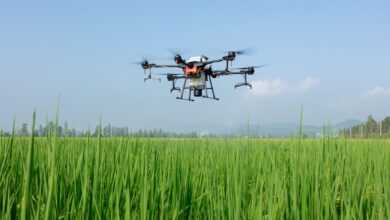 dji, drone, plant protection drone, farmland, agriculture, wisdom agricultural, smart agriculture, fly prevention, plant protection machine, agricultural drones, aircraft to fight drugs, the plant protection team, the drones sow, fruit trees plant protection, the uav system anti-rule, smart agriculture, smart agriculture, smart agriculture, smart agriculture, smart agriculture