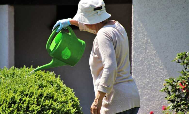 hat, watering can, pensioner