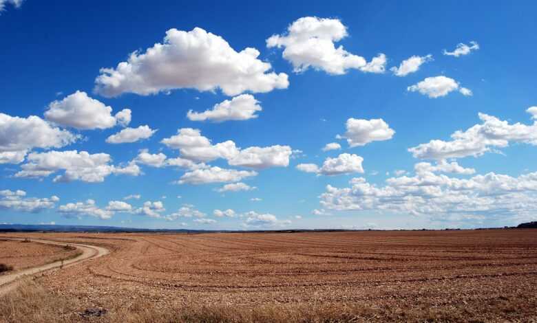 field, land, clouds