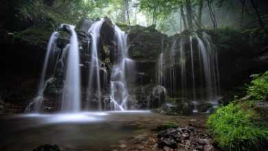 landscape, a small waterfall, nature, natural, beech forest, fog, plant, water flow, moss, rock, hyogo prefecture, japan