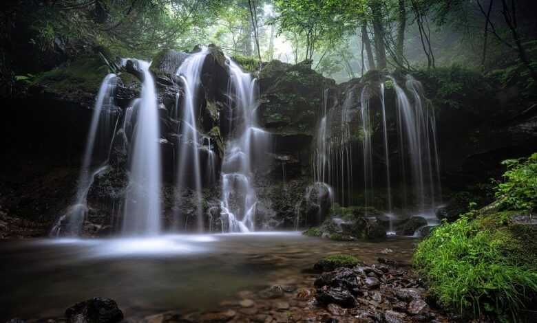 landscape, a small waterfall, nature, natural, beech forest, fog, plant, water flow, moss, rock, hyogo prefecture, japan