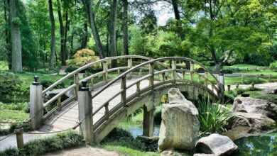 bridge, park, garden, japanese garden, path, walkway, scenery, nature, bridge, park, garden, garden, garden, nature, nature, nature, nature, nature