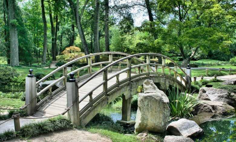 bridge, park, garden