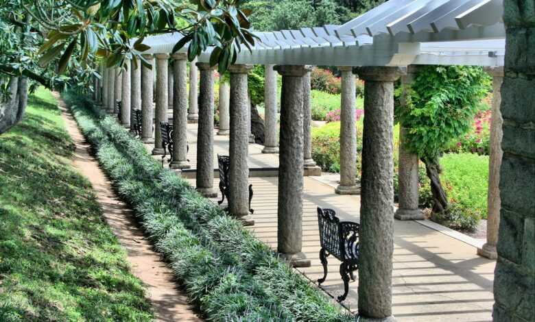 pergola, benches, walkway, wisteria arbor, shade, grass, pavilion, gazebo, wooden, structure, relaxation, tranquil, lawn, nature, outdoors, roof, ornamental, sunny, day, relax, view, seat, exterior, modern, picturesque, seating, peaceful, landmark, leisure, column, landscaping, arch, luxury, property, sidewalk, craftsmanship