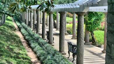 pergola, benches, walkway, wisteria arbor, shade, grass, pavilion, gazebo, wooden, structure, relaxation, tranquil, lawn, outdoors, nature, roof, ornamental, sunny, day, relax, view, seat, exterior, modern, picturesque, seating, peaceful, landmark, leisure, column, landscaping, arch, luxury, property, sidewalk, craftsmanship