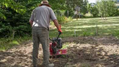 gardener, garden, gardening, nature, tiller