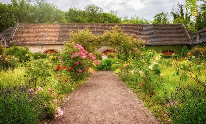 garden, roses, herbs