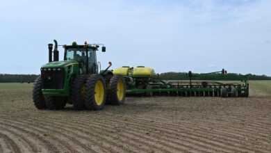 farm, farming, agriculture, john deere, planter, planting, soybeans, soybean planter, field, farm equipment, farm machinery, john deere, john deere, john deere, john deere, john deere, planter, planter, planter, soybeans, farm equipment, farm equipment, farm equipment, farm machinery