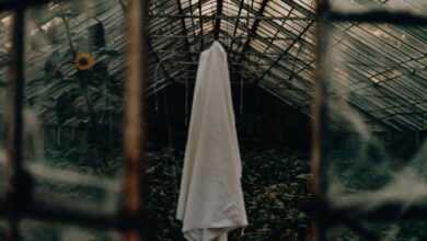 Cloth in Greenhouse