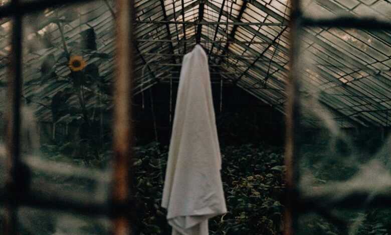 Cloth in Greenhouse