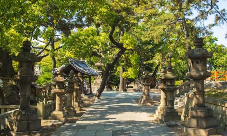 Narrow long alley located between aged stone lanterns and tall evergreen trees in oriental park on cloudless sunny weather