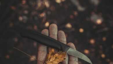 knife, nature, background, tool, weapon, forest, basic survival, beautiful wallpaper, hand holding a knife, iphone wallpaper