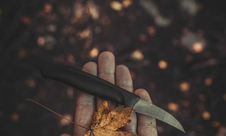 knife, nature, background, tool, weapon, forest, basic survival, beautiful wallpaper, hand holding a knife, iphone wallpaper