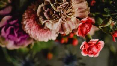 From above of bouquet of vibrant multi colored flowers in dark room on blurred background