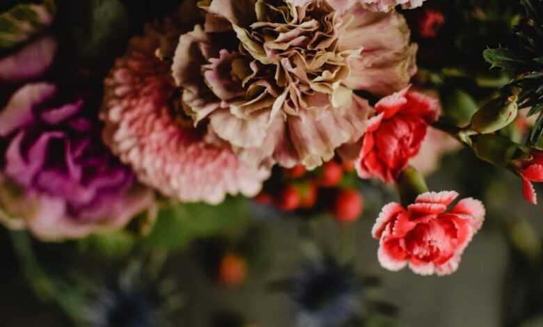 From above of bouquet of vibrant multi colored flowers in dark room on blurred background