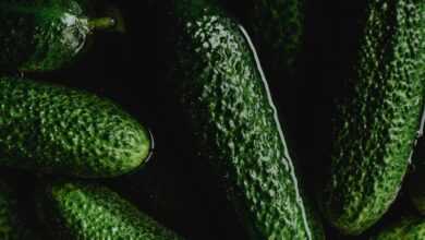 Close-Up Photo of Green Cucumbers