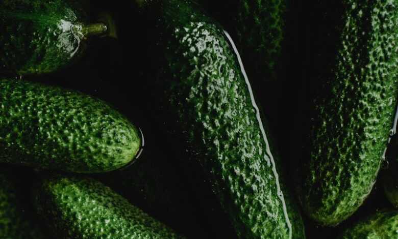 Close-Up Photo of Green Cucumbers