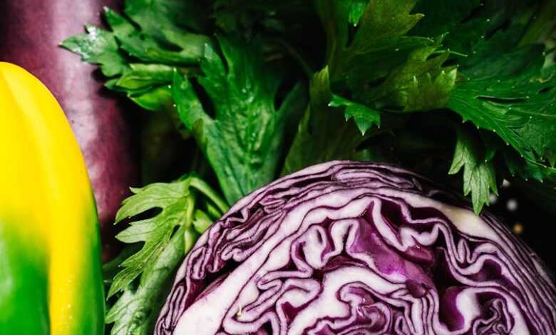 Different Vegetables on a Closeup Shot