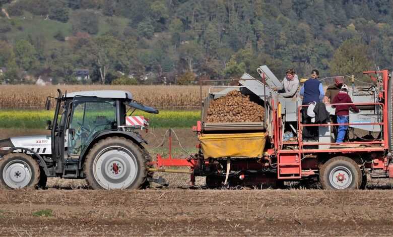 tractor, potatoes, farm yard