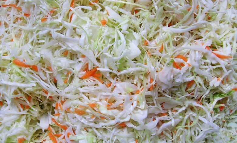 sauerkraut, cabbage, salting