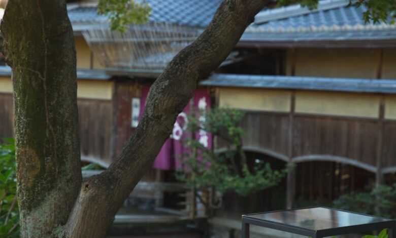 Exotic tree growing near small traditional Asian house decorated with paper lantern on sunny day