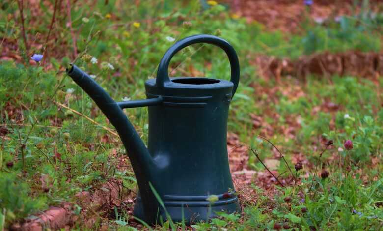 watering can, container, pot