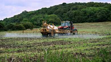 tractor, field, spray