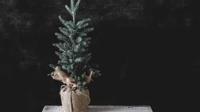 christmas tree, tree, winter, texture, decoration, holiday, december, nature, season, xmas, festive, burlap, rustic, seasonal, traditional, table, decorative
