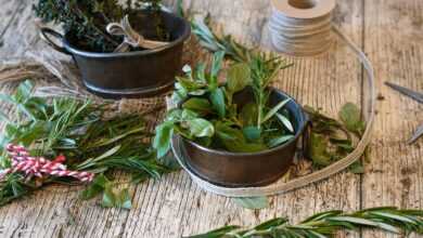 spices, herbs, rosemary