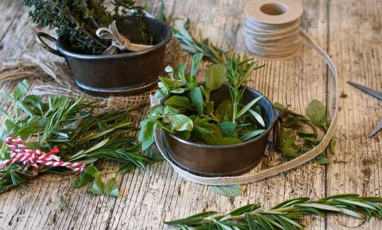 spices, herbs, rosemary