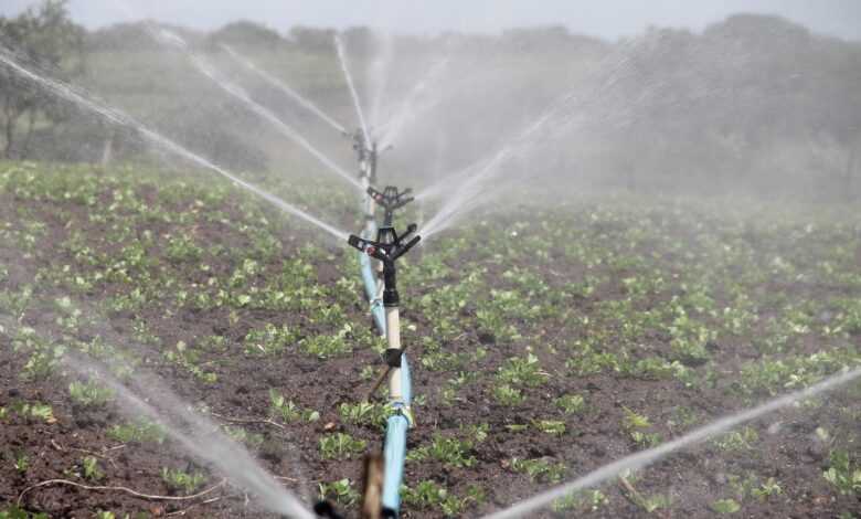 irrigation, agriculture, sprinkle