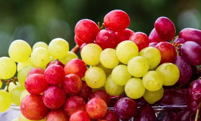 grapes, fruit, cluster