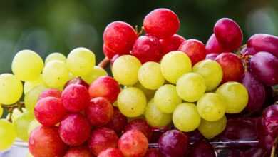 grapes, fruit, cluster