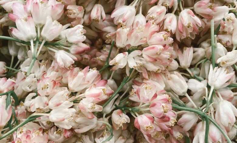 Delicate white and pink flowers heaped together