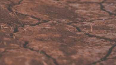 cracked soil, soil, ground, dry soil, drought, land, clod, texture