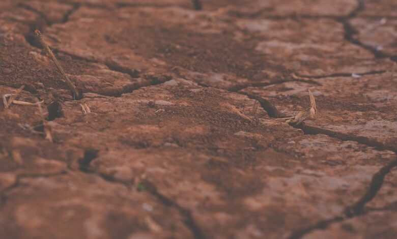 cracked soil, soil, ground, dry soil, drought, land, clod, texture