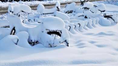 bicycles, snow, winter