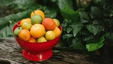 Fresh fruit in bowl on bench