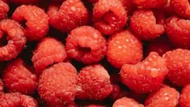 Bunch of ripe red delicious raspberry