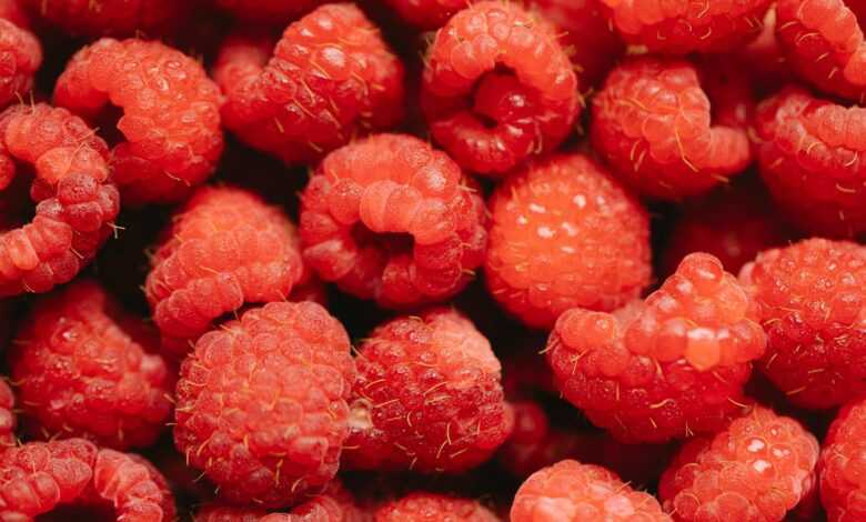 Bunch of ripe red delicious raspberry