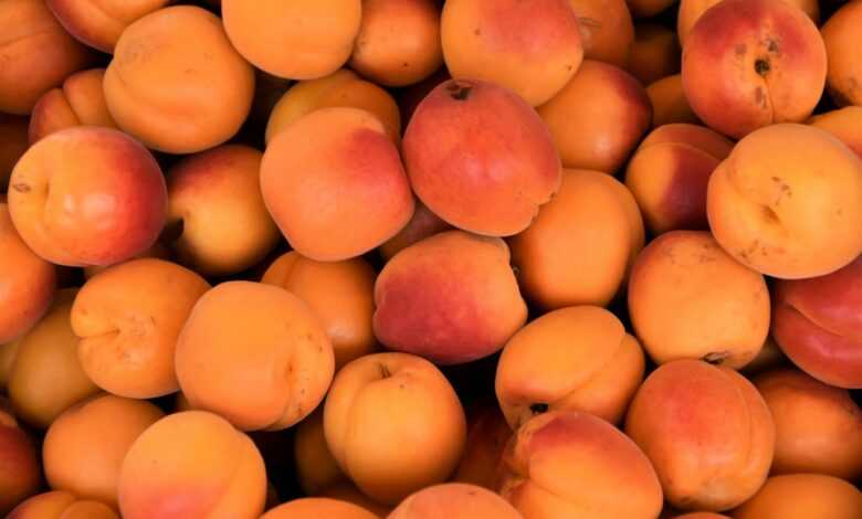 yellow and red round fruits