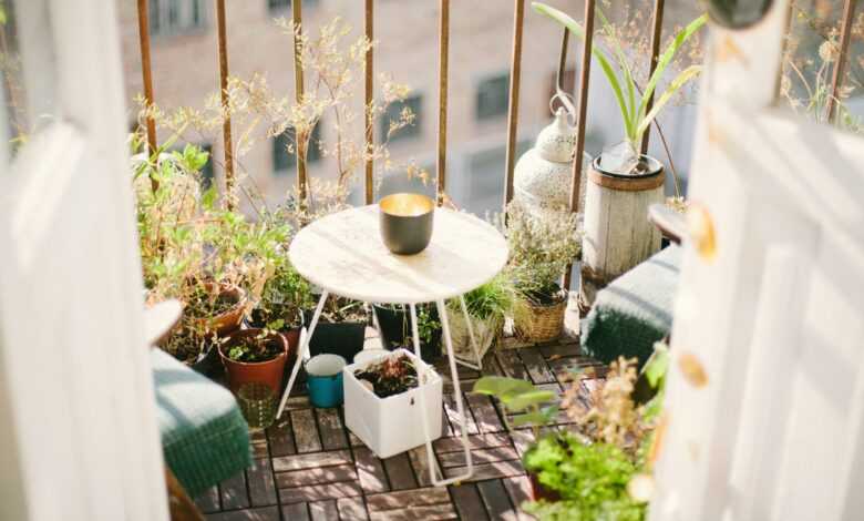 garden on terrace during daytime